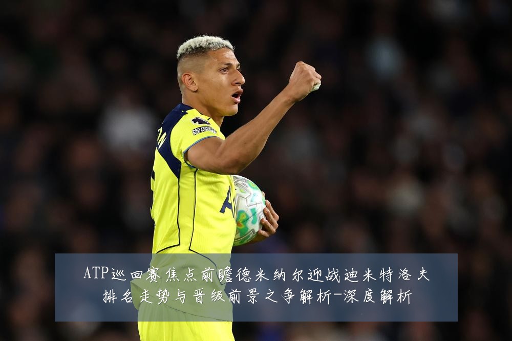 ATP巡回赛焦点前瞻德米纳尔迎战迪米特洛夫排名走势与晋级前景之争解析-深度解析